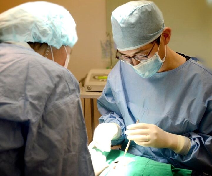 강남 가이드 임플란트 – 정밀 수술을 진행하는 의료진